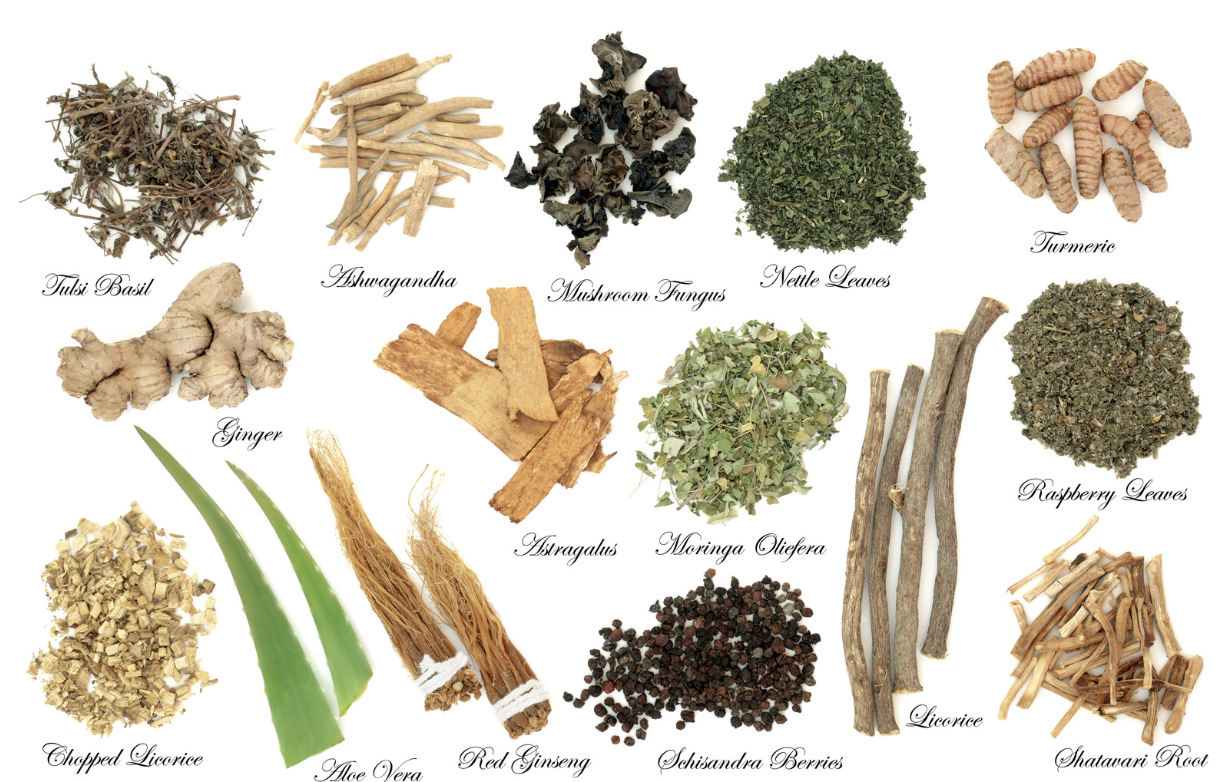 What are Adaptogens? | Spoons